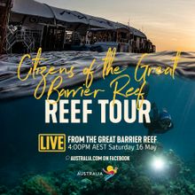 Live from Aus - Great Barrier Reef Tour