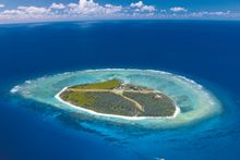 Lady Elliot Island