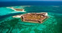 Dry Tortugas Small