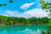 Blue Pond - Hokkaido