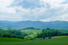 Patchwork Road - Biei, Hokkaido