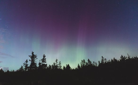 Maine's night sky is among the most spectacular. 