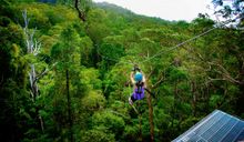 TreeTop Challenge Thunderbird Park