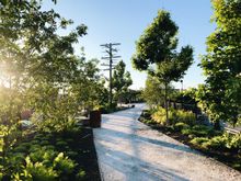 Philadelphia is home to urban oases of nature which come alive all year round. Photo by M. Smith for Friends of The Rail Park.