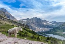 Glacier National Park, Montana 