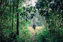 Shinta Mai Wild Wildlife Alliance Ranger