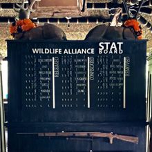 SM Wild Stats Board April 2020