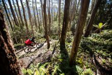 Maydena Bike Park
