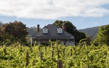Kate Hill Wines