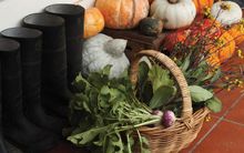 The Agrarian Kitchen