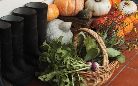 The Agrarian Kitchen The Agrarian Kitchen