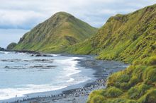 Sub-Antarctic Islands