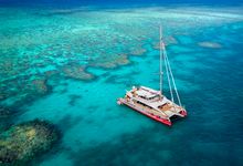 Passions of Paradise, Down Under Cruise and Dive and Ocean Freedom are operating tours to the Great Barrier Reef from Cairns on alternate days.