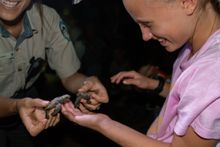 Learning about baby turtles with the rangers at Mon Repos Turtle Centre