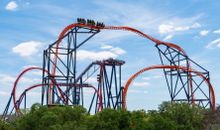 Tigris and SheiKra at Busch Gardens Tampa Bay