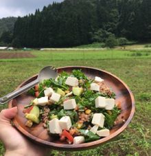 Organic Lunch, Kannabe Cycling Activity