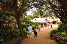 Montville, Sunshine Coast Hinterland