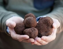 Truffles