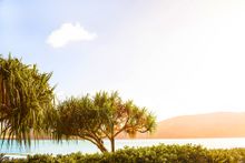Hamilton Island 