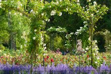 Couple sitting on bench in the Rose Garden at Blenheim Palace - 2020 has been a bumper year for blooms at the Oxfordshire UNESCO World Heritage Site