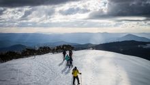 Across the snow ridge of Bogong