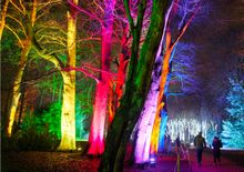 Magical Outdoor Trail Returns to Blenheim Palace