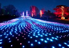 Magical Outdoor Trail Returns to Blenheim Palace