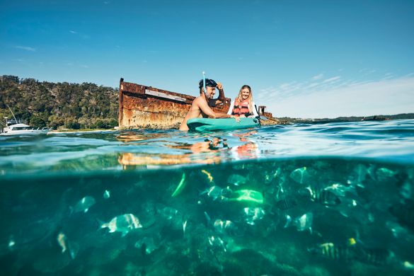 Moreton Island_Snorkeling and kayaking