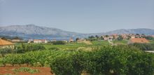 Lumbarda, Croatia
