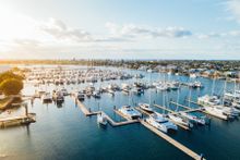 Fresh seafood is brought in to Mooloolaba Wharf each day