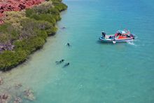 Deep History of Sea Country project scientists in the water on Murujuga sea country