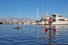 Waterbiking on the Swan River