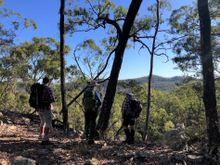 Bush walking at Ivory's Rock