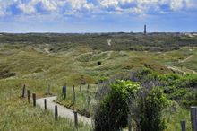 Die Landschaft auf Norderney lädt zu ausgiebigen Auskundschaftungen ein.