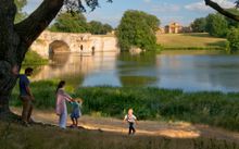 Family playing in the park at Blenheim Palace