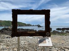 Renoir Walk frame