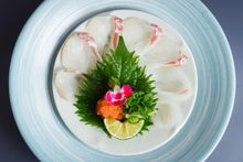 Thinly-sliced Sea Bream Sashimi