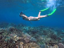 Southern Great Barrier Reef