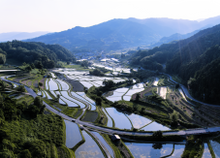 Inabuchi Tanada