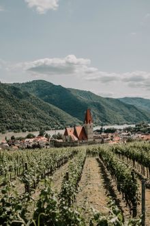 Weissenkirchen/Wachau 