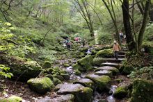 Mt Mitake