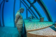 Coral Greenhouse, John Brewer Reef