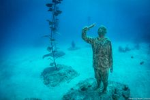 Coral Greenhouse, John Brewer Reef