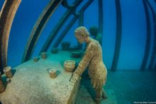 Coral Greenhouse, John Brewer Reef