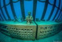 Coral Greenhouse, John Brewer Reef