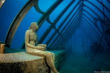 Coral Greenhouse, John Brewer Reef