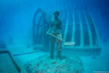 Coral Greenhouse, John Brewer Reef