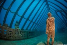 Coral Greenhouse, John Brewer Reef