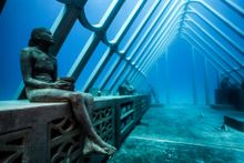 Coral Greenhouse, John Brewer Reef