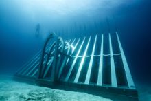 Coral Greenhouse, John Brewer Reef